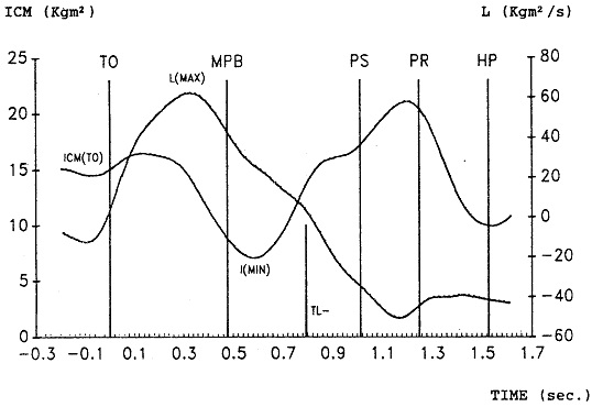 Bubka angular momentum and moment of inertia.jpg